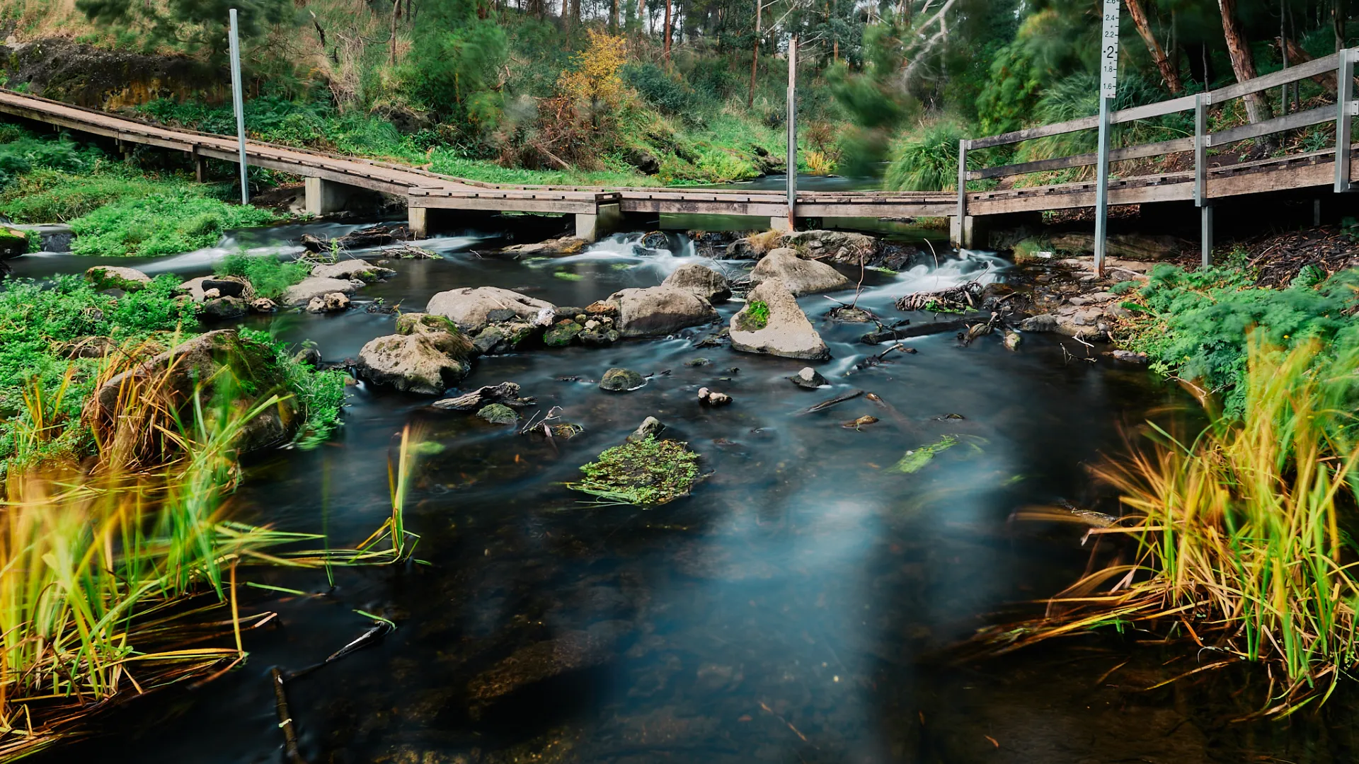 Woodford pedestrian bridge over the Merri River