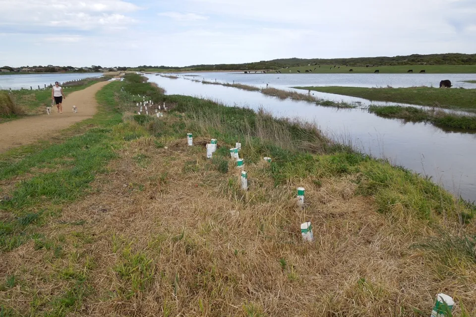 Merrivale high water