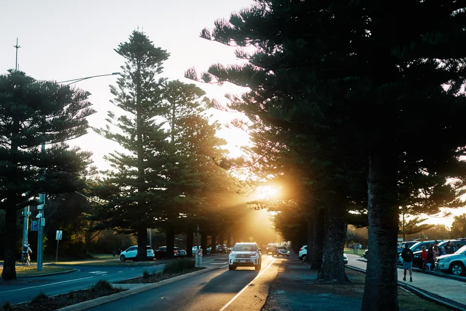 Pertobe Road at dusk