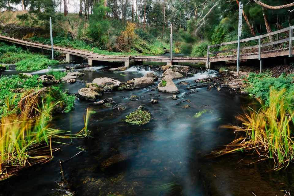 Woodford pedestrian bridge over the Merri River