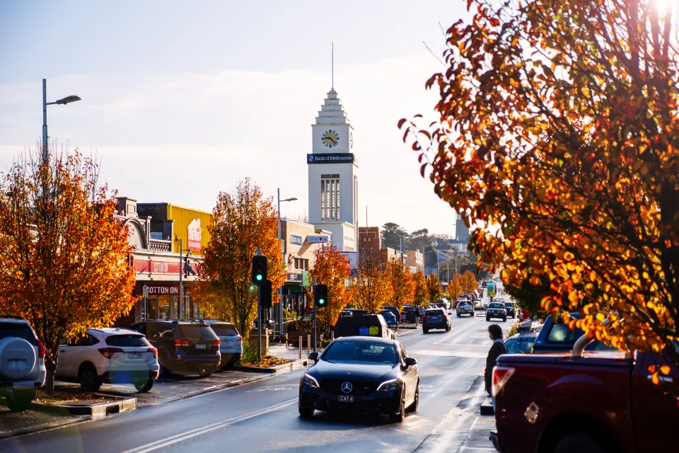 Liebig Street in autumn.