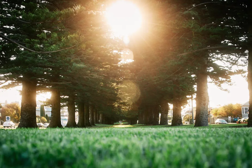 2024 Warrnambool Citizen of the Year Awards