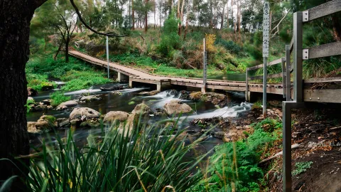 Merri River at Woodford pedestrian bridge