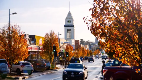 Liebig Street in autumn.