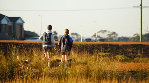 Waldock Way wetlands