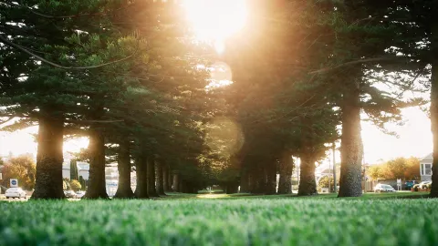 2024 Warrnambool Citizen of the Year Awards